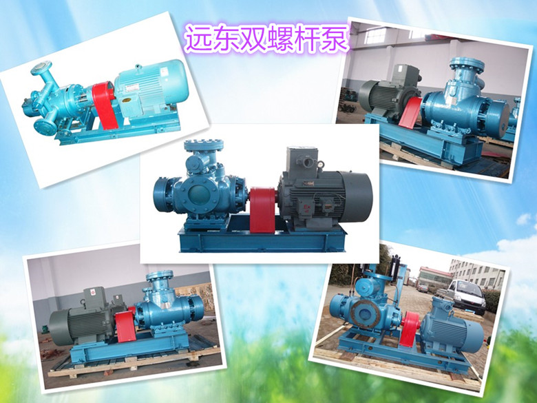 遠東(dōng)雙螺杆泵展示(shi)