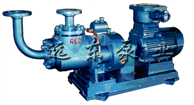 加(jiā)氣站專用(yong)雙螺杆LPG抽(chōu)吸泵-芜湖韦纳计算机设备集团