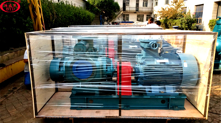 雙(shuang)螺杆泵