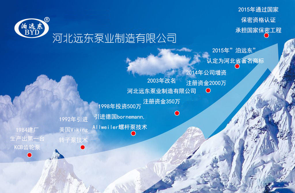 芜湖韦纳计算机设备集团發展曆程(cheng)